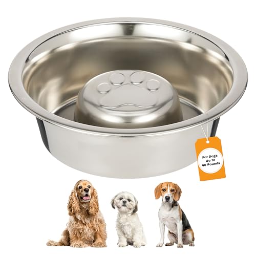 Stainless Steel Slow Feed Dog Bowl for Fast Eating Medium Breed (1 Cup - Standard)
