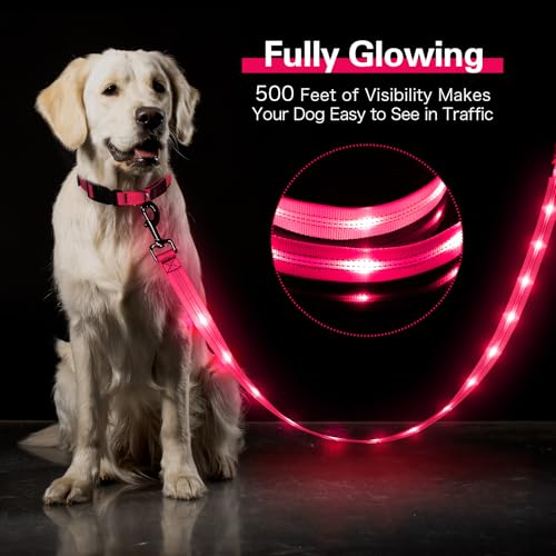 Light Up Dog Leash (Pink)