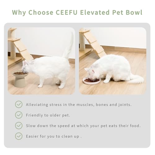 2 Pack Extra Wide Elevated Ceramic 6.2" Shallow Cat Food Bowls (Pottery Clay-2 Food Bowl)