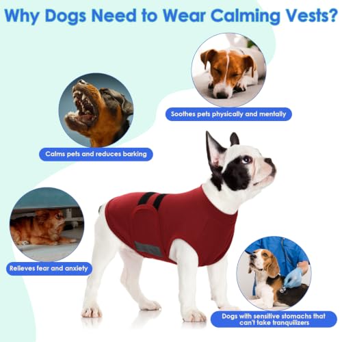 Dog Anxiety Relief Coat (Rosy-Red / Medium)