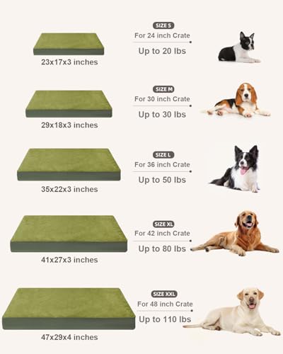 Orthopedic Dog Bed for Medium Dogs with Waterproof Lining (Green / 29.0"L x 18.0"W x 3.0"Th)