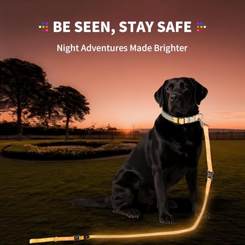 LED Dog Leash (Orange / 6 feet)