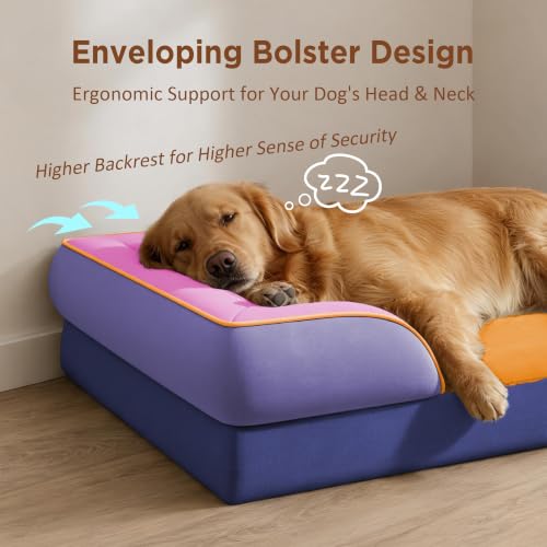 Orthopedic Dog Bed for Extra Large Dogs with Bolster (42.0"L x 30.0"W x 8.5"Th / Orange Breeze)