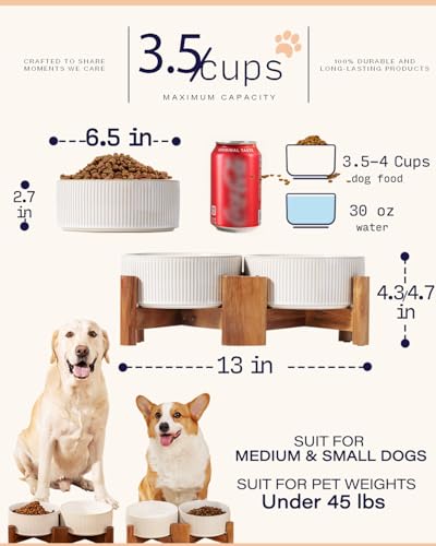 Ceramic Dog Bowls Set with Acacia Wood Stand (Large-3.5Cups / Vintage White)