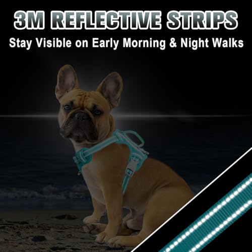 Dog Harness for Small Sized Dog No Pull Dog Vest ID Tag Pocket (Ocean Blue / Small)