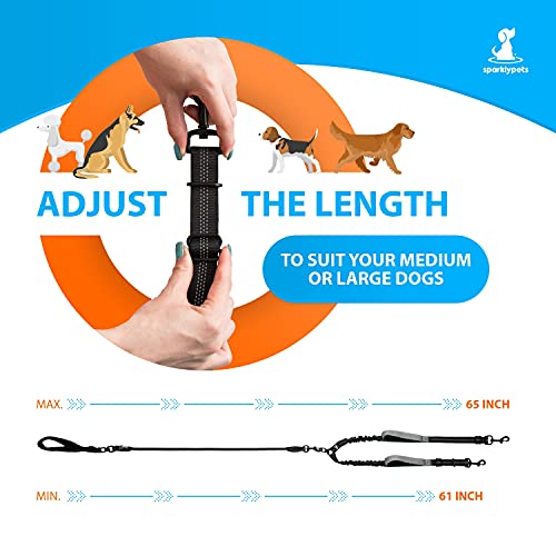 Double Dog Leash for 2 Dogs (Black)