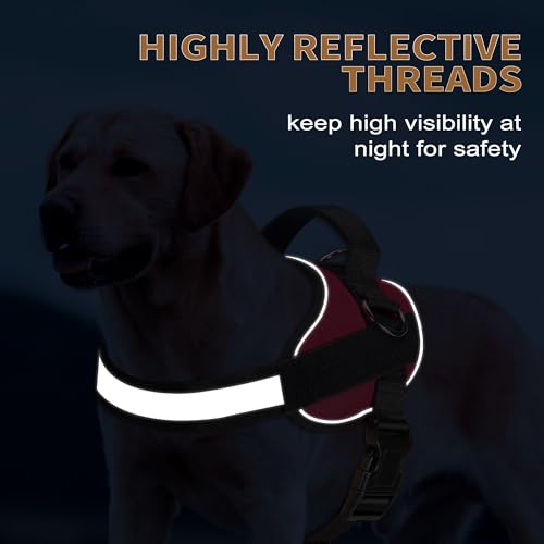 Essential Dog Harness (XL / Red)