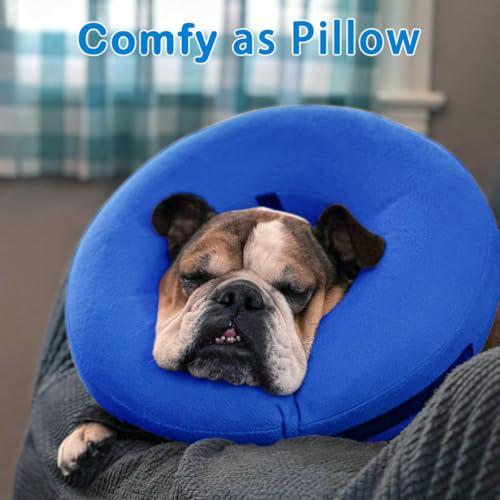 Inflatable Dog Cone Collar (Blue / Large [Neck: 13"-18"])