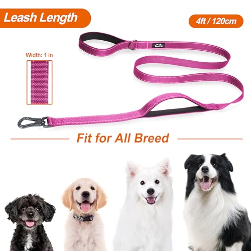 4FT 1IN Heavy Duty Dog Leash for Large Dogs with 2 Padded Handles (Rose / 1 in x 4 ft)