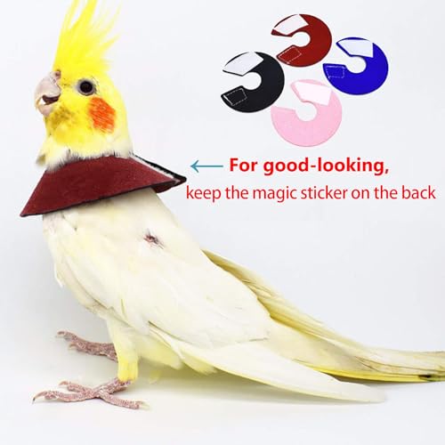 4Pack Parrot Anti (XL - Suitable for Monk Parakeet)