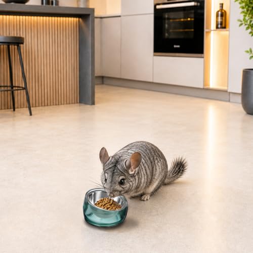 Oblik 15° Tilted Small Animal Bowls for Pet Food & Water 6 oz Stainless Steel Dish Removable (Classic / Mini Pet)