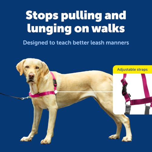Easy Walk Harness (Large / Raspberry/Gray)