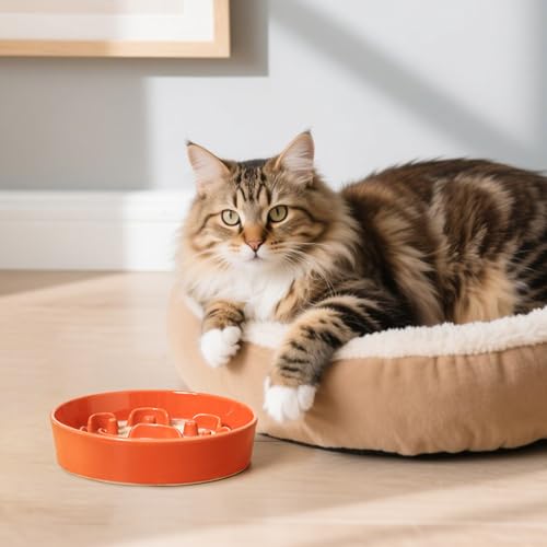 Ceramic Slow Feeder Dog Bowl (Orange / Small without Stand)