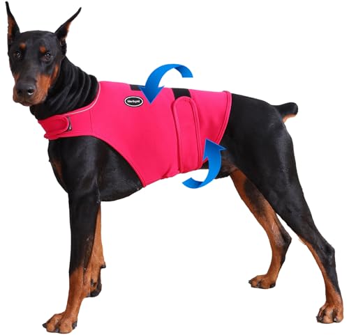 Dog Anxiety Vest (XL-Chest(22"-34.6") / Rose)