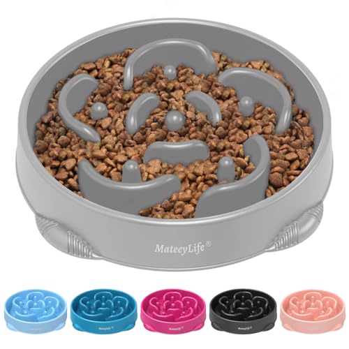 1 Pack Slow Feeder Dog Bowls (I-Gray / Large)