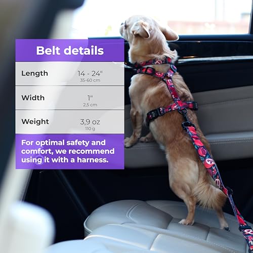 Dog Car Seat Belt (Black (Red Pomegranate))