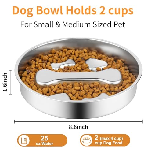 Stainless Steel Slow Feeder Dog Bowls