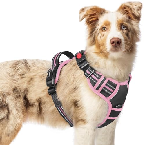 Dog Harness Medium Sized (Medium / Black & Pink)