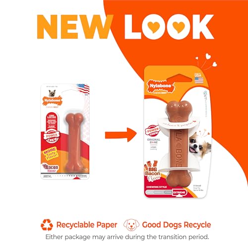 Power Chew Classic Bone Chew Toy for Dogs (X-Small)