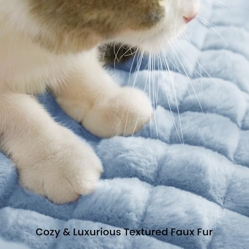 Cat Couch Bed with Fluffy Faux Rabbit Fur for Indoor Cats (Light Blue / Small: 24"L x 18"W x 10"Th)