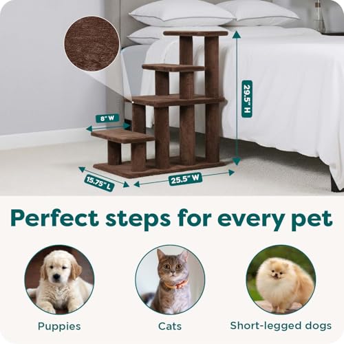 Steady Paws Multi
