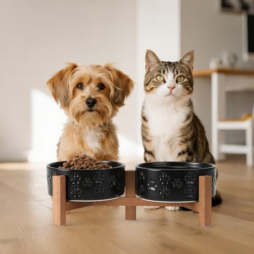 Ceramic Elevated Dog Bowl Set with Acacia Wood Stand for Food and Water for Cats and Small Dogs (13.52 Oz / Dog Paw Black)