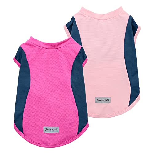 2 Pack UPF 50+ UV Sun Protection Dog Shirt (X-Small / Rose Red-Pink)