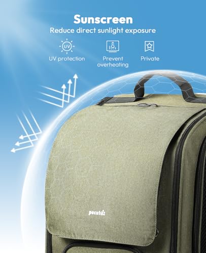 Cat Backpack Carrier (reen / 12.6"L x 10.2"W x 16.5"H)