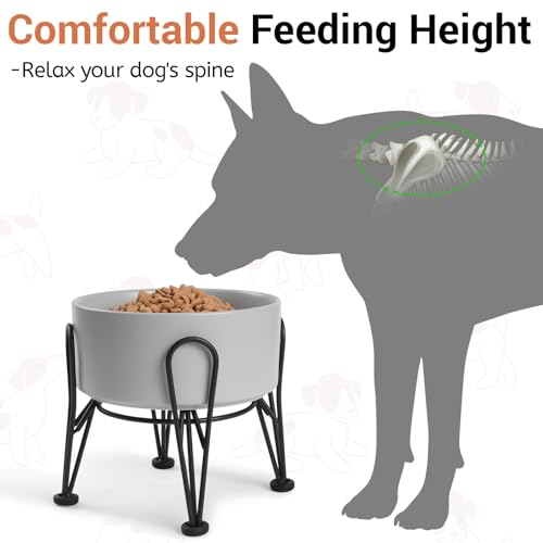 Elevated Dog Bowls (Gray / 3.6 Cups | 2 Pack | For Medium Dogs)