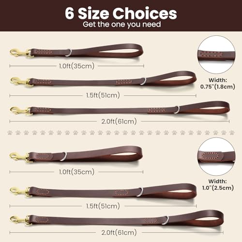 Leather Dog Leash (1.0 ft L x 1.0 in W)