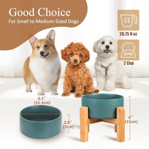 Ceramic Elevated Dog Bowl with Bamboo Stand (Medium / Green)