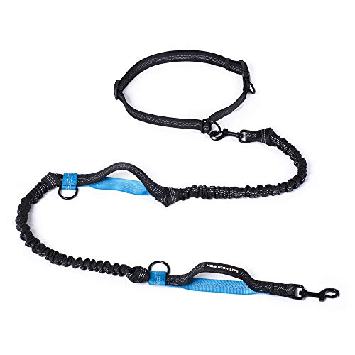 Hands Free Leash (Black Blue / 7FT Hands Free)