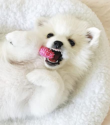 New Puppy Starter Kit (Pink / Small)