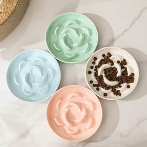 2 Pack Ceramic Cat Slow Feeder Bowl Set (White and Green)