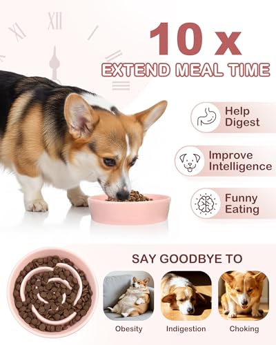 Ceramic Slow Feeder Dog Bowls (M-1.5 Cups / 02-Pink)