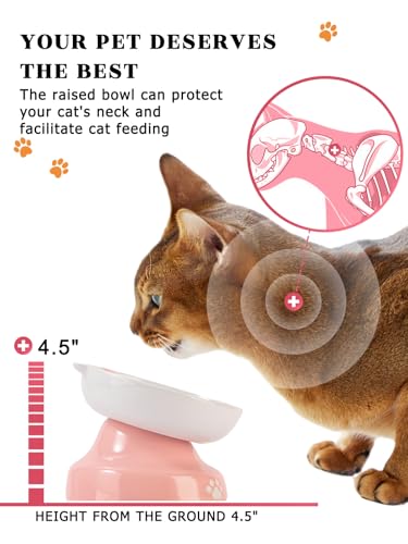 Ceramic Slow Feeder Cat Bowl (Pink)