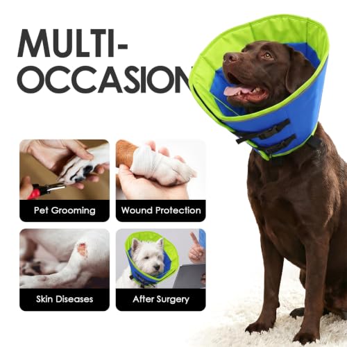 Dog Cones for Medium Dogs (BlueGreen / Medium)