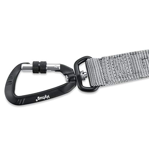 Short Dog Leash 24" (Sleet Gray / 24 Inches)