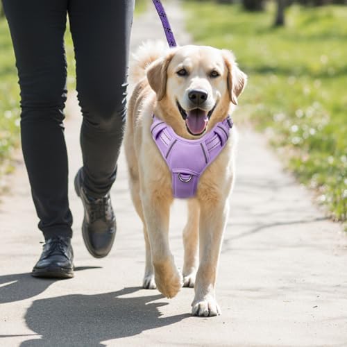 No Pull Dog Harness Large Reflective Dog Harness with Front Clip and Easy Control Handle for Walking Training Running with ID tag Pocket (Violet Purple / Large)