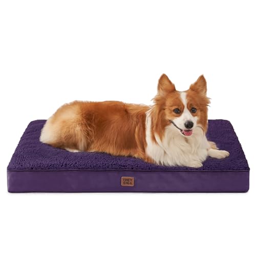 Orthopedic Dog Bed Large with Removable Washable Cover (35*23*3.5 inches / Purple)