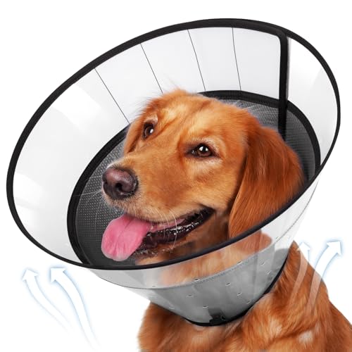 Transparent Dog Cone to Stop Licking Wounds (Dark Grey / XXL (Neck: 17.75-20"))