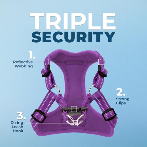 Voyager Step in Flex Adjustable Dog Harness (Harness (Purple) / S)