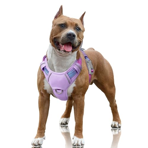 Dog Harness for Large Dogs No Pull Dog Vest ID Tag Pocket (Lavender Sky / Large)