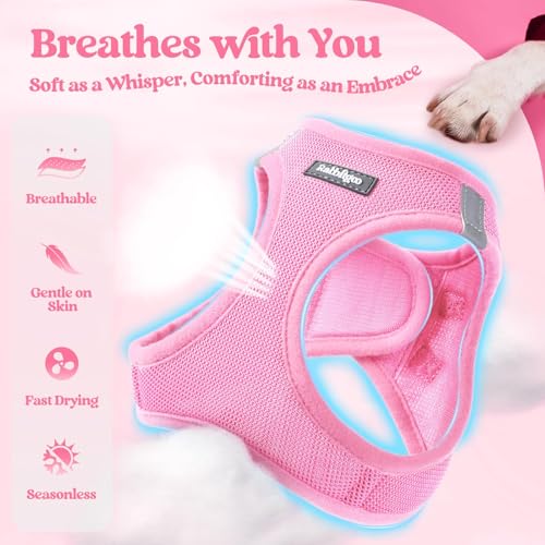 Dog Harness Small Sized and Leash Set (Light Pink / Xs (chest: 13.3 - 15.5"))