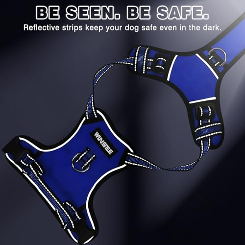 Dog Harness No Pull (Medium / Blue)