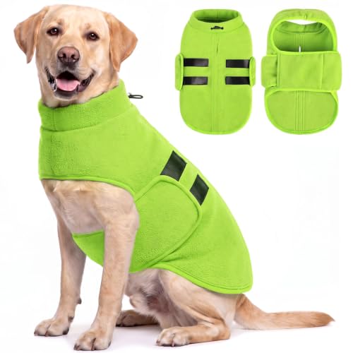 XL Dog Sweater (Green / X-Large)