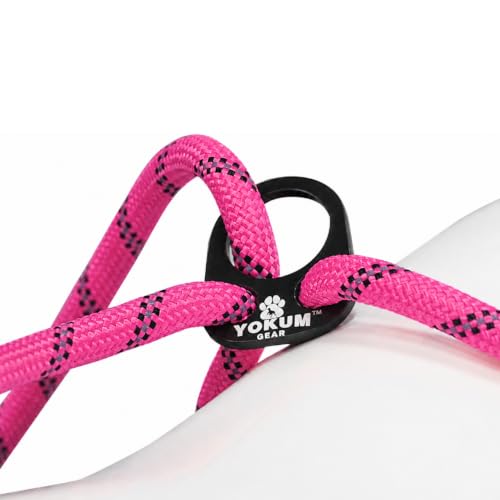 12ft No Pull No Choke Leash Long Rope Dog Leash (12 Ft / HOT PINK)