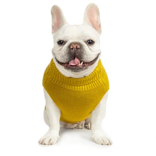 Cat Sweater Stretchy (Dark Yellow / XL)