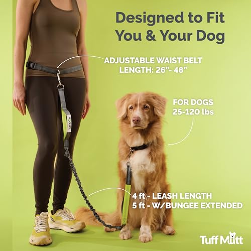 Waist Hands Free Dog Leash for Walking Running Hiking (gray/coral)