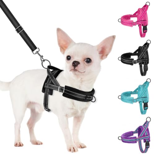 No Pull Small Dog Harness and Leash Set with Front Clip (X-Small / Black)